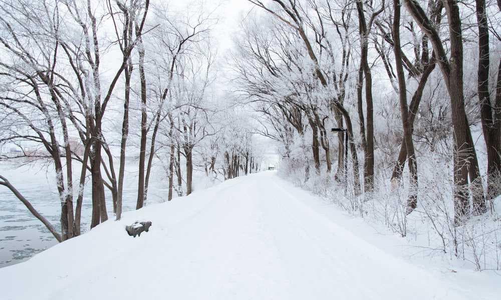 Professional counselling session